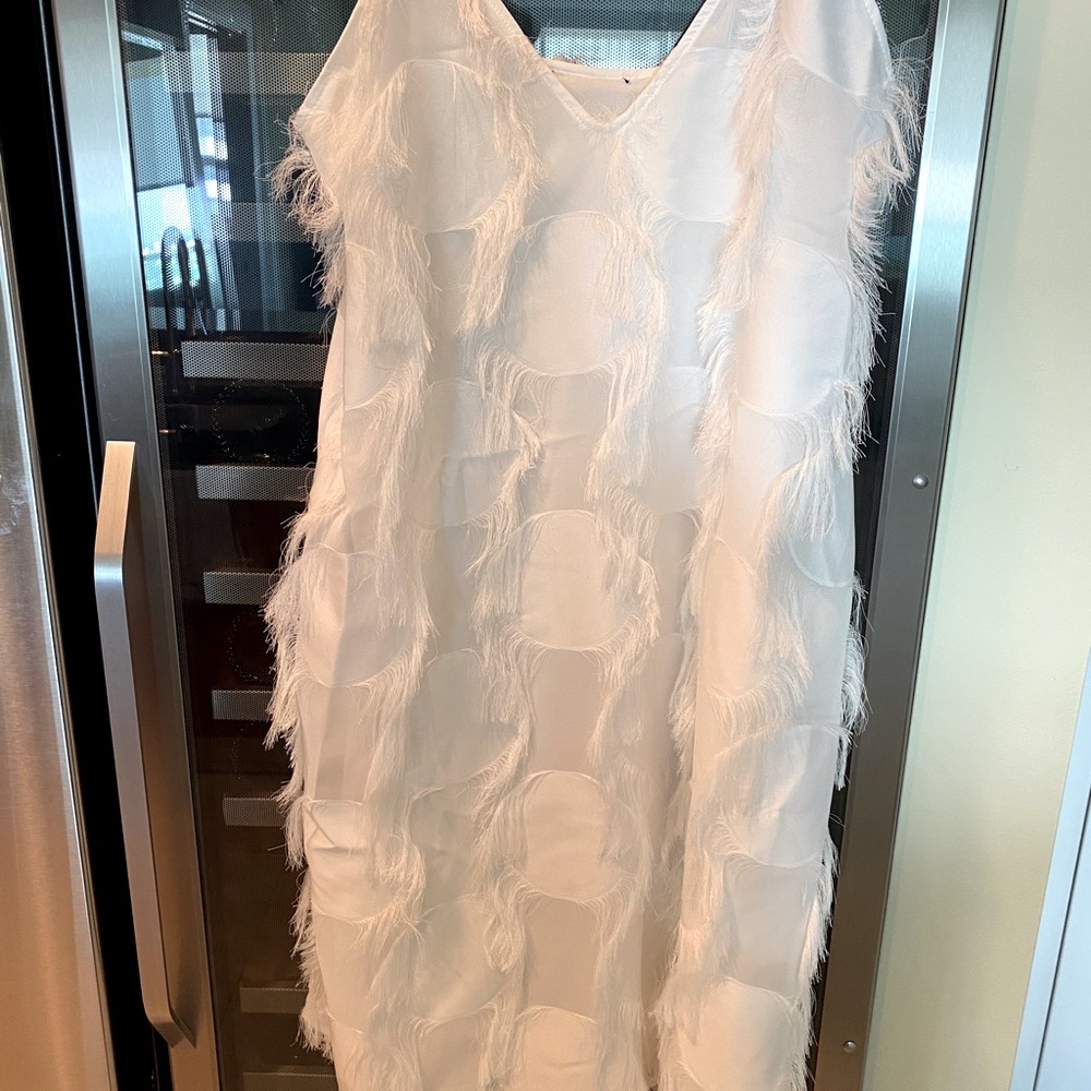 Zara White Dress